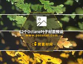 62个Octane树叶叶子材质预设-爬素材