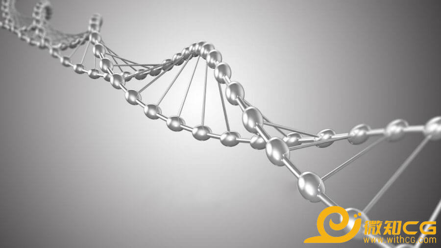 基因链条DNAC4D模型