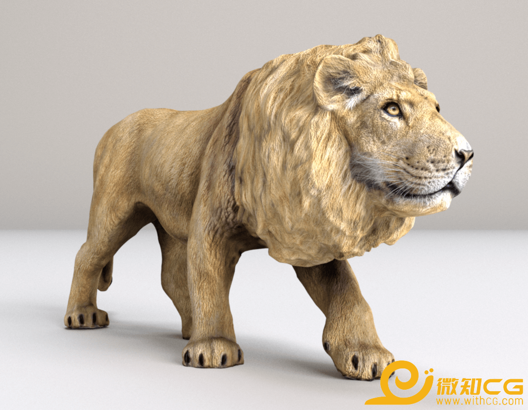 草原之王非洲狮子3D模型